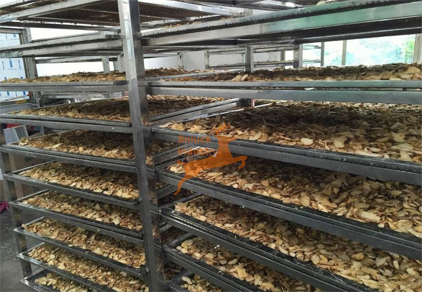 Turmeric Dryer Produce Line